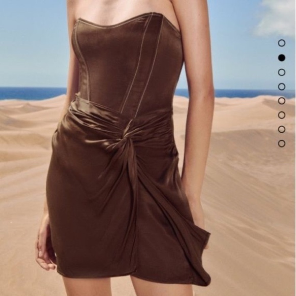 Zara brown corset mini dress